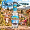 Didim Gazoz Klasik 250 ml – 24 Adet
