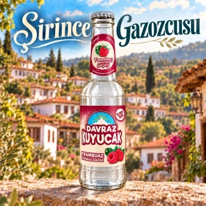 Davraz Kuyucak Gazoz Frambuaz 250 ml – 24 Adet