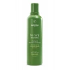 Aveda Be Curly Advanced Şampuan 250ml