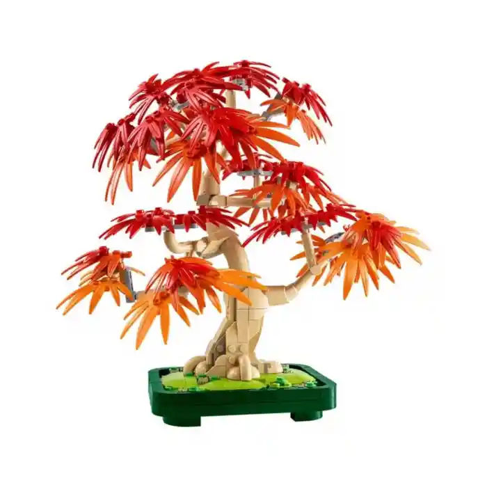 10348  iconic Japon Akçaağaç Bonsai Ağacı 474 parça +18 yaş