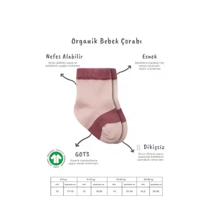 3Lü Penye Rainbow Soket Çorap BS10113 Pudra