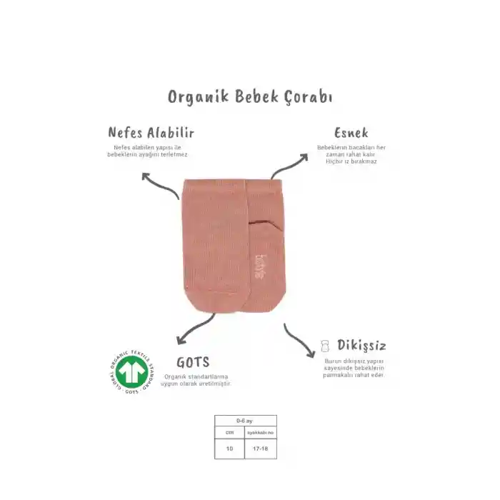 5li Penye Soket Kutulu Basic Çorap 10131 Pudra