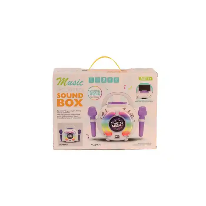 6005 KUTULU MİKROFONLU MÜZİK KUTUSU 12