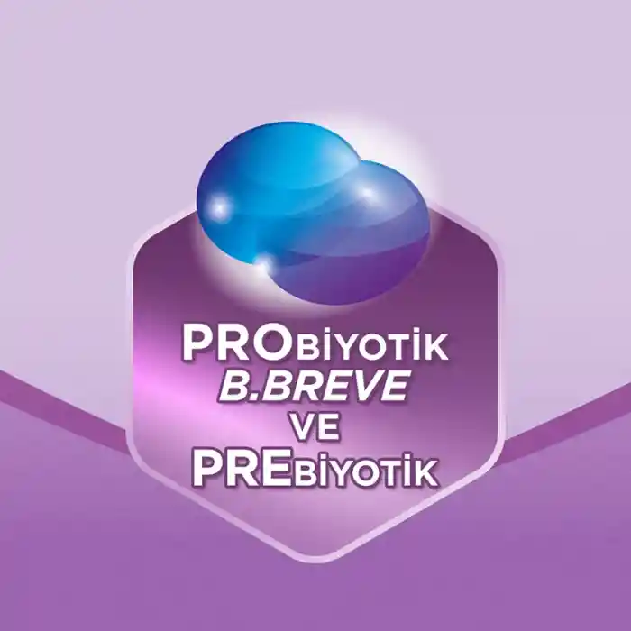 Prosyneo Devam Sütü No2 6-12 Ay 400 Gr