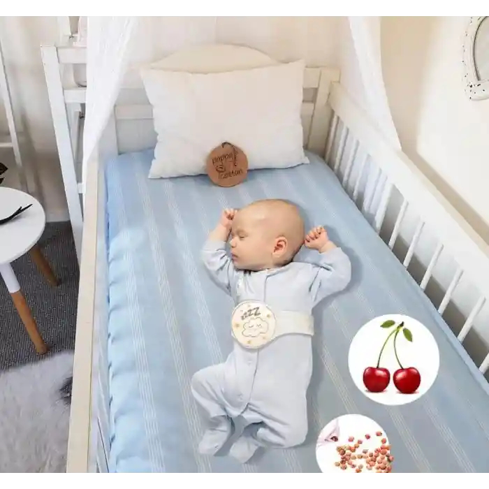 Kiraz Çekirdekli Gaz Giderici Kemer 429 Gül Kurusu