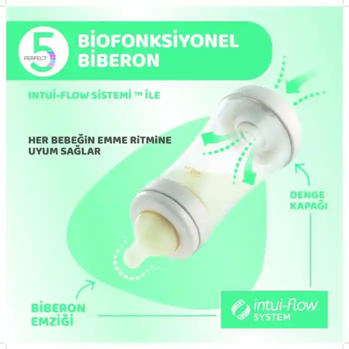 NessiWorld Perfect 5 Antikolik Biberon PP 240 ml Boy