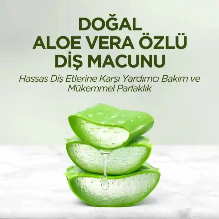 Doğal Diş Macunu 90 Gr