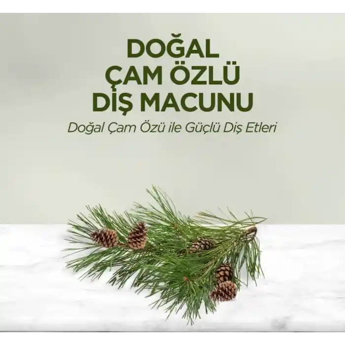 Doğal Diş Macunu 90 Gr Çam Özlü