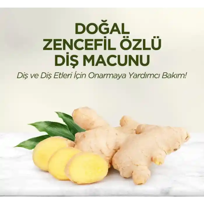 Doğal Diş Macunu 90 Gr Zencefil Özlü