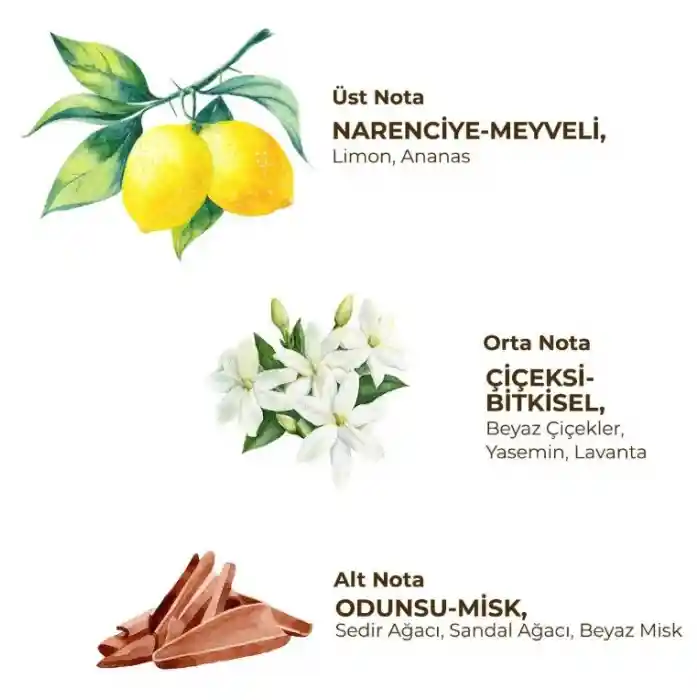 Kadın Roll On Deodorant 75 ml Fresh