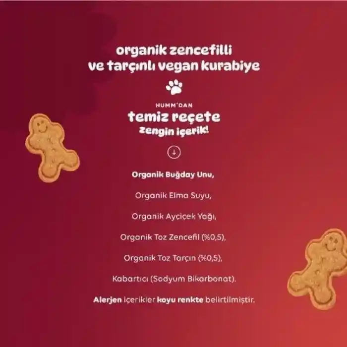 Organik Zencefilli ve Tarçınlı Vegan Kurabiye 55 Gr