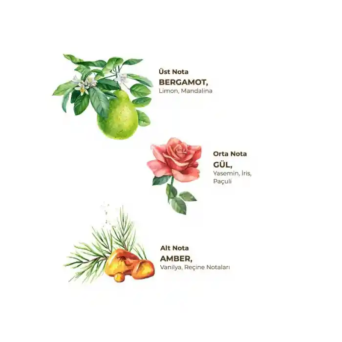 Kolonya Pet Şişe Sprey 150 ml Amber