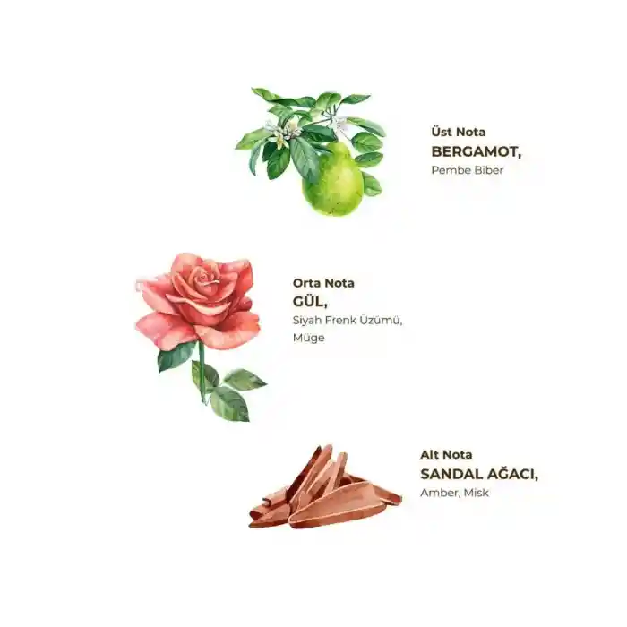 Kolonya Pet Şişe Sprey 150 ml Manolya Çiçeği