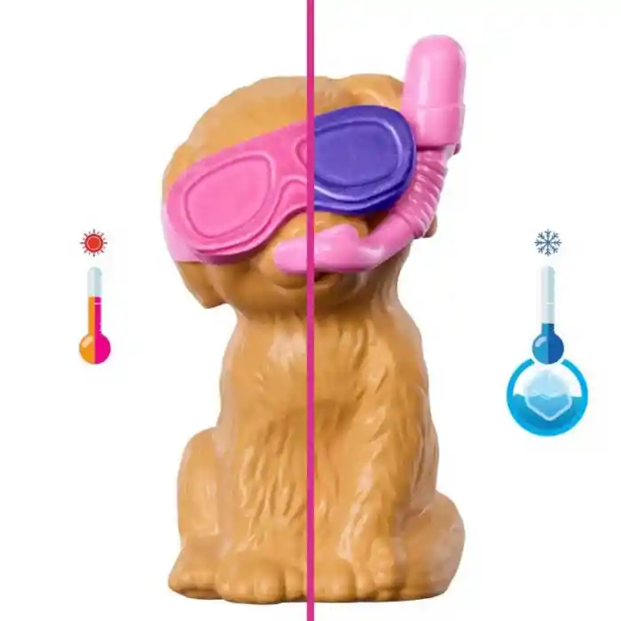 Köpekçikle Havuz Partisi Oyun Seti