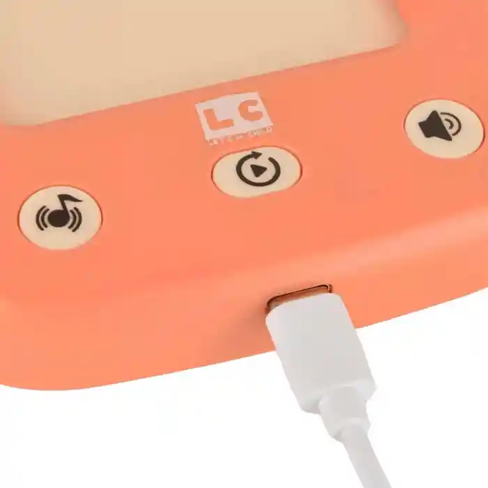 Öğretici Türkçe İngilizce Konuşan Flash Kartlar 31050