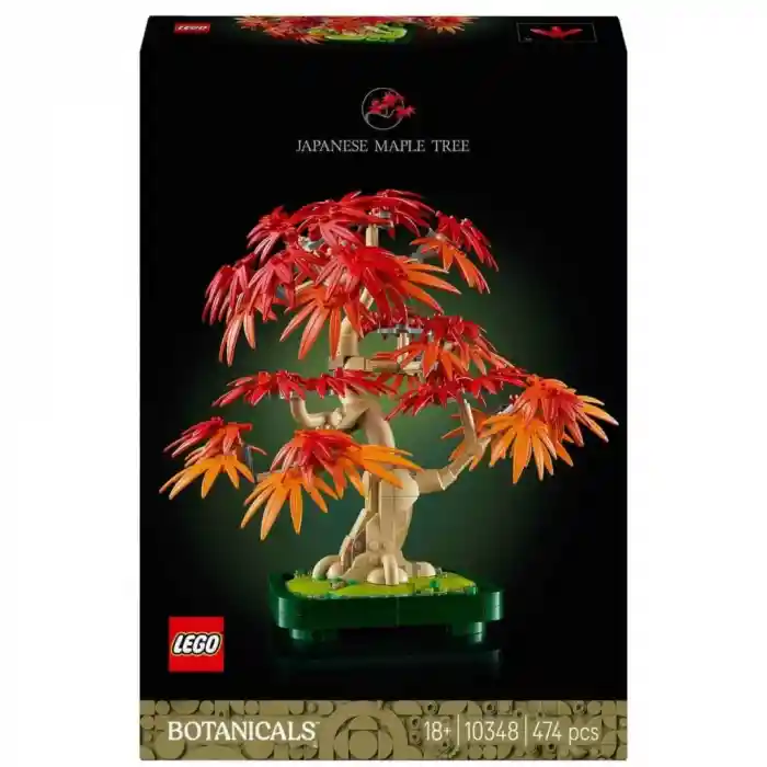 Botanicals Japon Kırmızı Akçaağaç Bonsai Ağacı 10348
