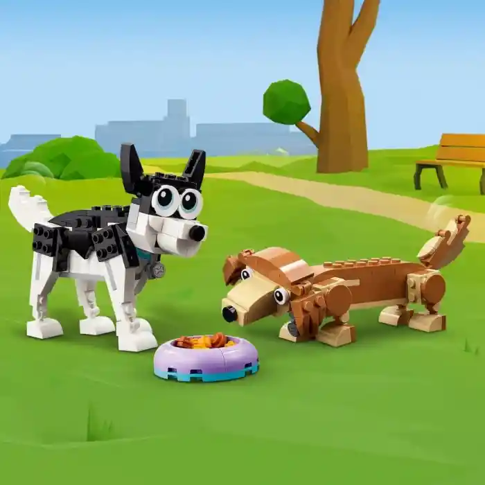 CreatorSevimliKöpekler31137