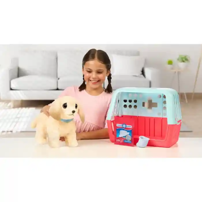 LLP Yavru Köpek İyileşir