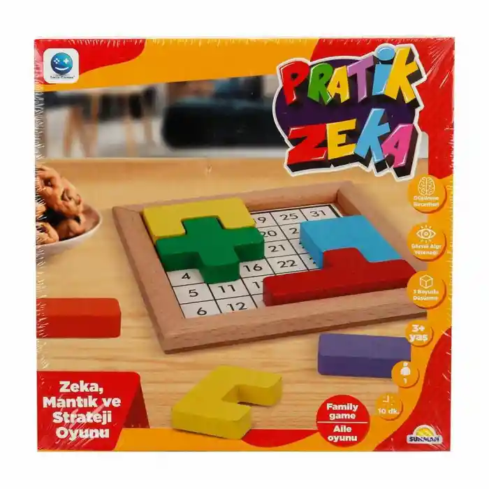 Pratik Zeka Oyunu