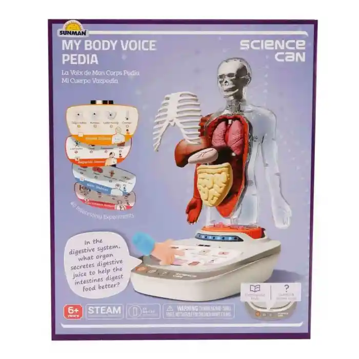 Sesli İnsan Vücudu Modeli Bilim Seti