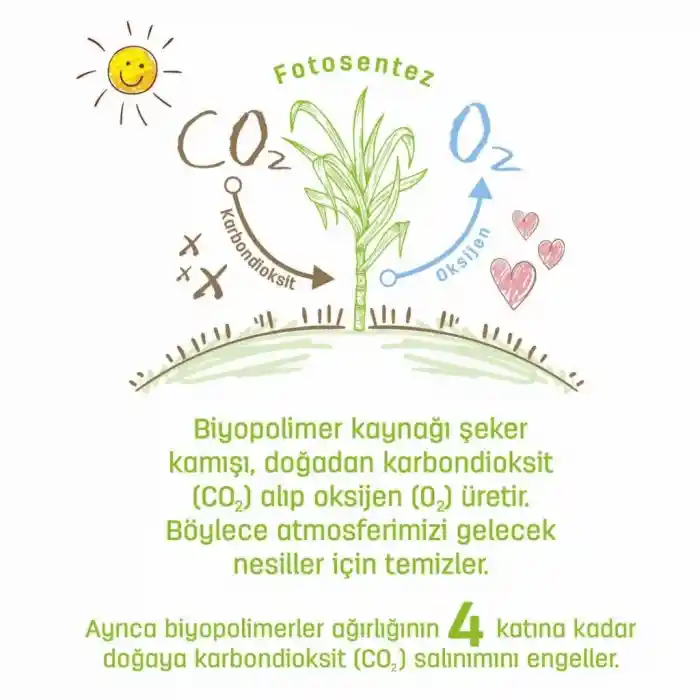 NessiWorld Bio Natural Islak Havlu Mendil 3x40 120 Yaprak
