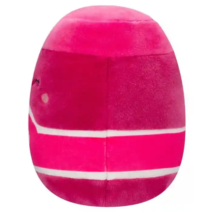 Ahududu Reçeli Roz 30 cm