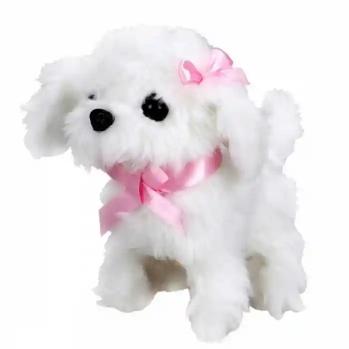 NessiWorld Sevimli Köpek Maltese