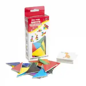 1321 MANYETİK ZEKA OYUNU