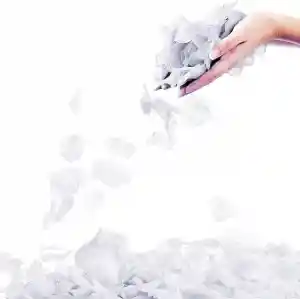 Beyaz Renk Gül Yaprağı Şekilli Konfeti 1 Paket 100 Adet