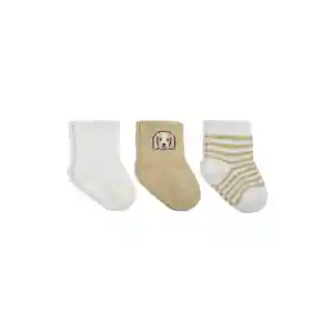 Bistyle Dog Boy 3lü Penye Soket Çorap 10134 Ekru