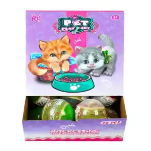 EVCİL HAYVAN TOP İÇİNDE YAVRU KEDİ-MGA