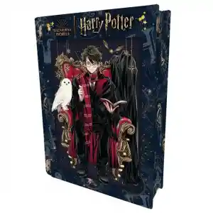 Harry Potter Metal Kutu Puzzle 300 Parça