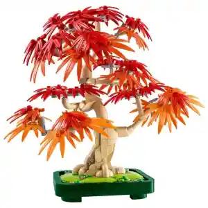 Botanicals Japon Kırmızı Akçaağaç Bonsai Ağacı 10348