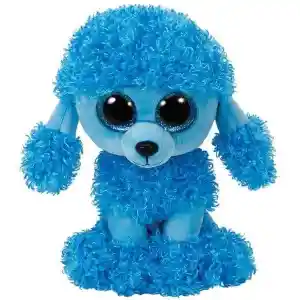 MANDY  BLUE POODLE REG