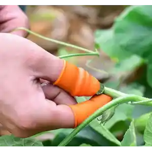 Pratik Baş Parmak Sebze Kesme Ayıklayıcı Erkek L Set