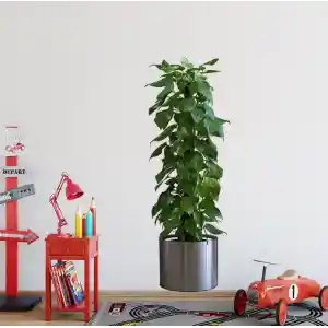 NessiWorld Saksılı Bitki Tasarımlı Yapışkanlı Sticker Resim 90*30 cm MC-665