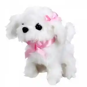 NessiWorld Sevimli Köpek Maltese