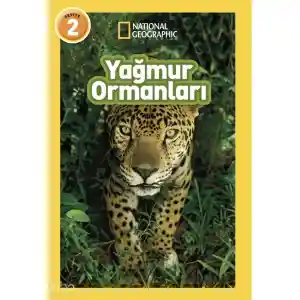 Yağmur Ormanları
