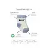 3Lü Penye Boy And Girl Soket Çorap BS10114 Mavi