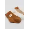 NessiWorld 3Lü Penye Soket Çorap BS10110 Hardal