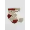 NessiWorld Love Dog Penye Soket Çorap 2Li BS10118 Bej