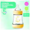 NessiWorld Perfect 5 Antikolik Biberon PP 150 ml Boy
