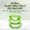 Doğal Diş Macunu 90 Gr