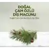 Doğal Diş Macunu 90 Gr Çam Özlü