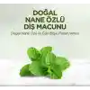 Doğal Diş Macunu 90 Gr Nane Özlü
