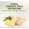 Doğal Diş Macunu 90 Gr Zencefil Özlü