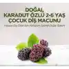 Doğal Karadut Özlü Diş Macunu 2-6 Yaş 60ml