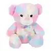Gökkuşağı Renkli Peluş Ayı 45 cm