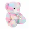 Gökkuşağı Renkli Peluş Ayı 45 cm
