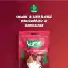 Organik Zencefilli ve Tarçınlı Vegan Kurabiye 55 Gr